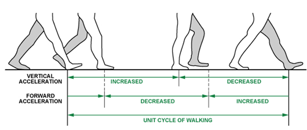 步行阶段与加速度模式